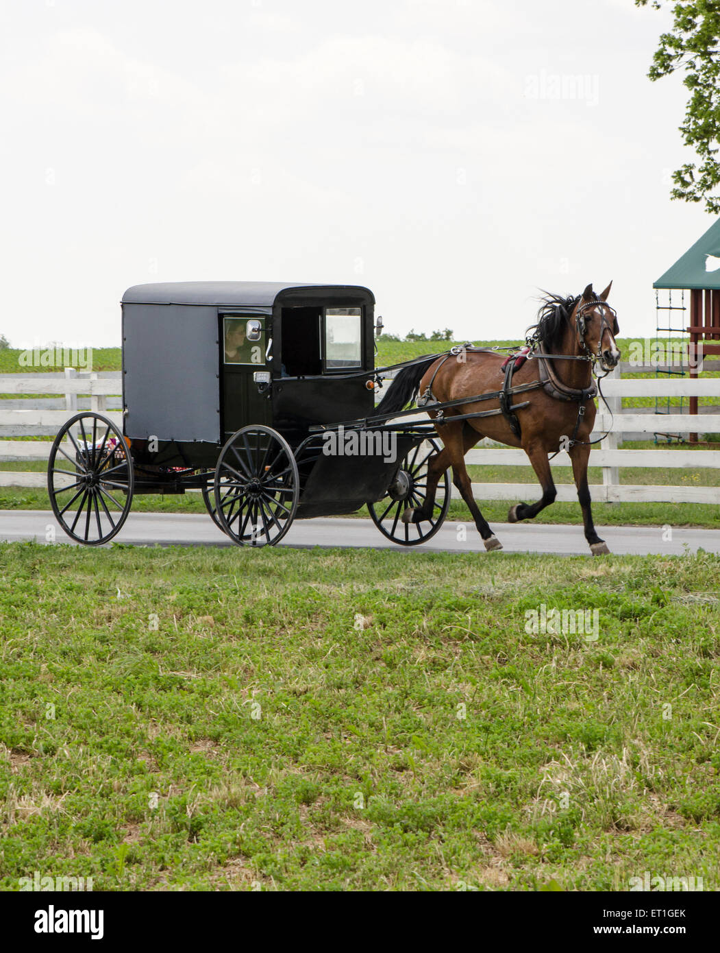 Eine Amische Familie Reiten In Einem Traditionellen Amish Buggy Im Lancaster County Pennsylvania Usa Stockfotografie Alamy
