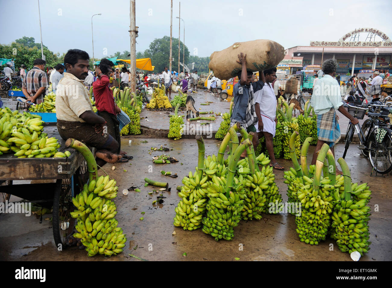 Anbieter mit Bananen im Markt; Thanjavur; Tamil Nadu; Indien Stockfoto