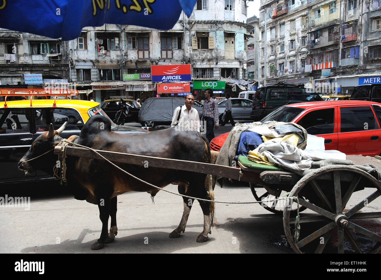 Ochsenkarren in belebten Straße; Bombay Mumbai; Maharashtra; Indien Stockfoto