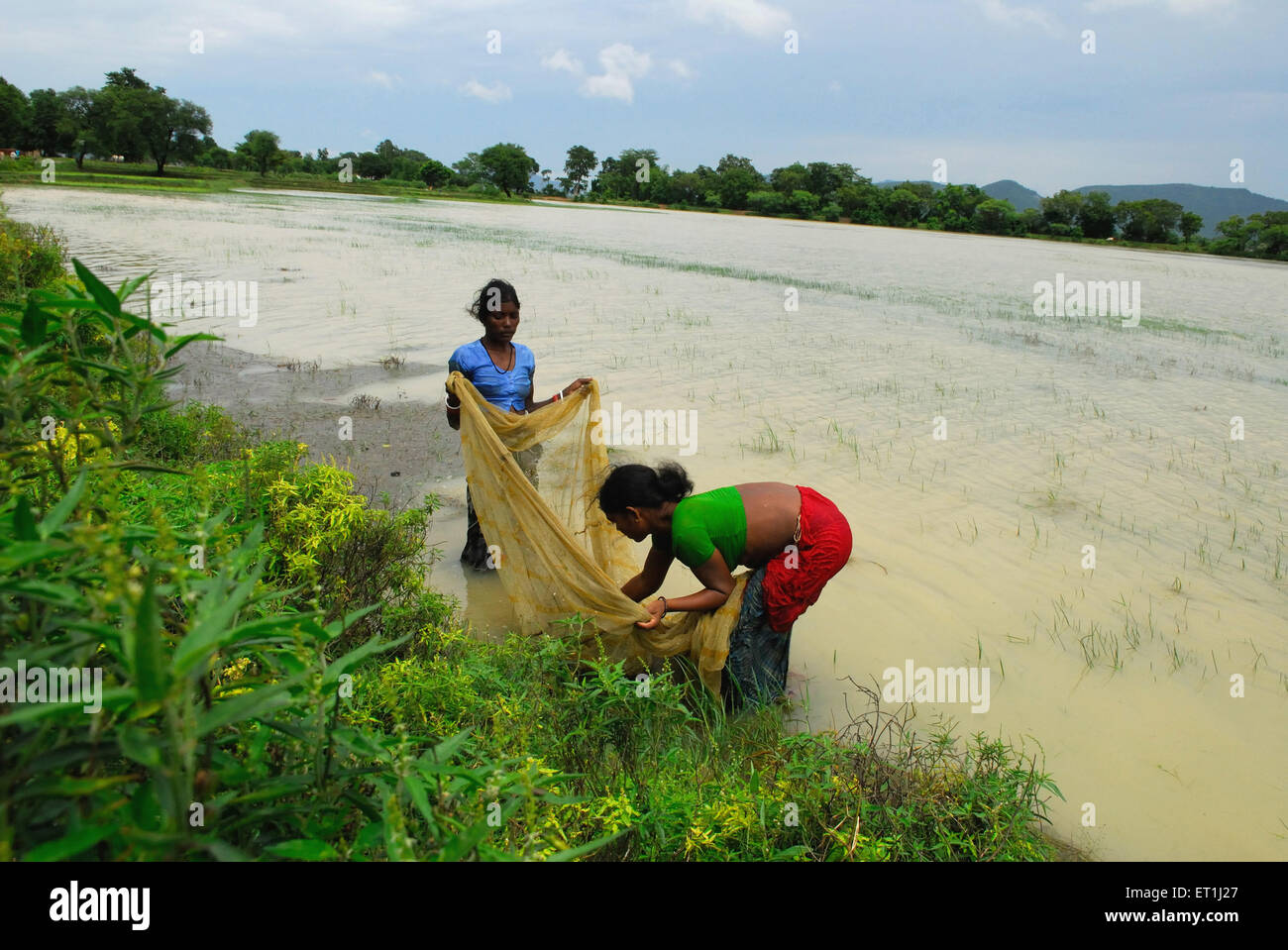 Frauen, die Fische fangen, Ho-Stamm, Stammes, Chakradharpur, West Singhbhum, Jharkhand, Indien, Asien Stockfoto