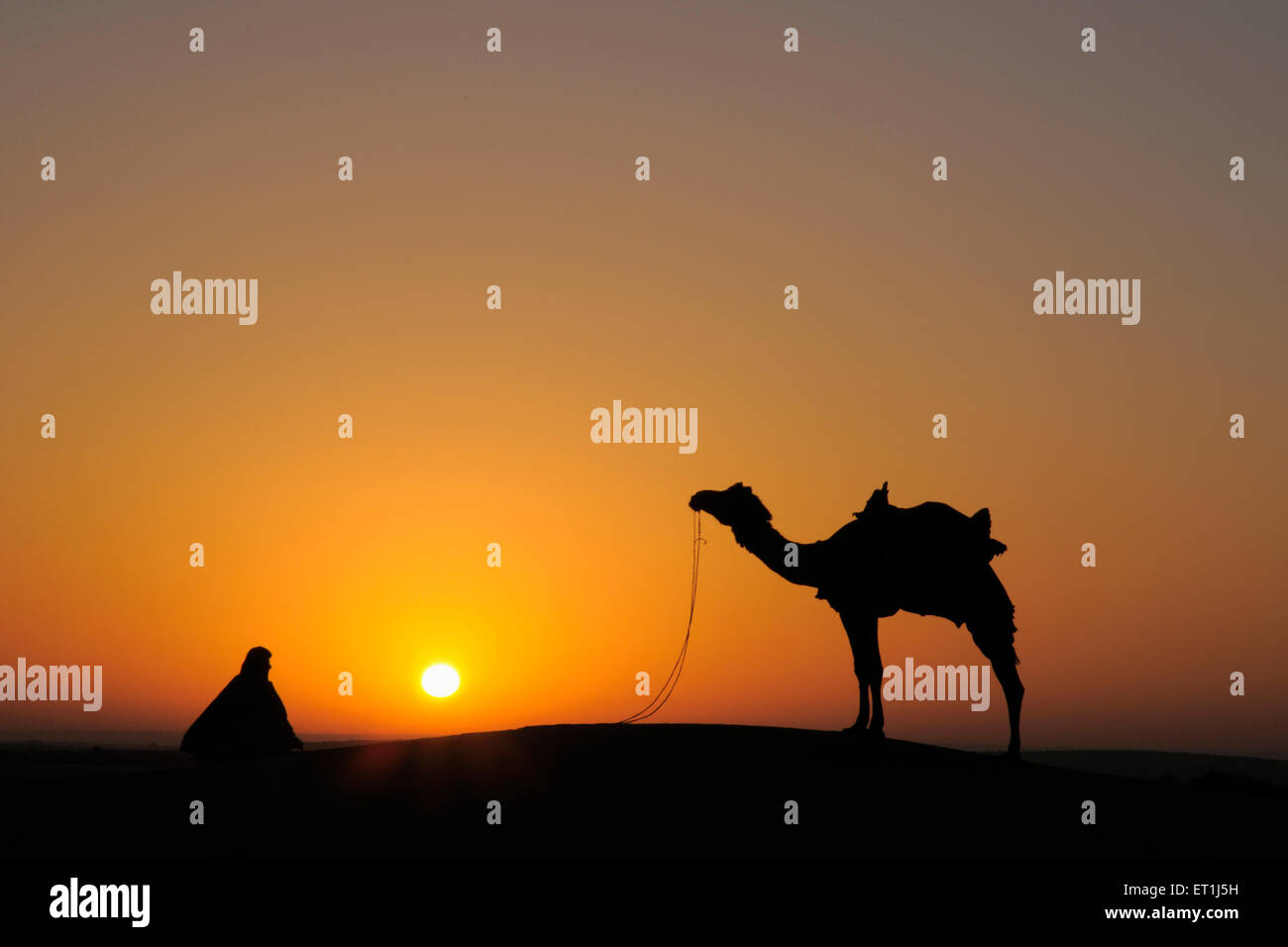 Herrlichen Sonnenaufgang Mann mit Kamel auf Sanddünen; Jaisalmer; Rajasthan; Indien Stockfoto