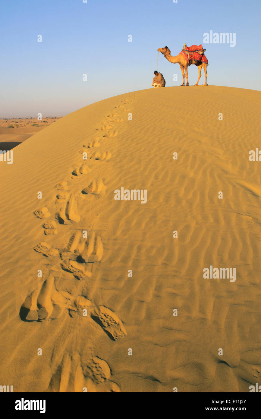 Kamel stehend mit Besitzer sitting on Top of weich geschwungenen Sanddüne und Spuren hinter lassen; Jaisalmer; Rajasthan; Indien Stockfoto
