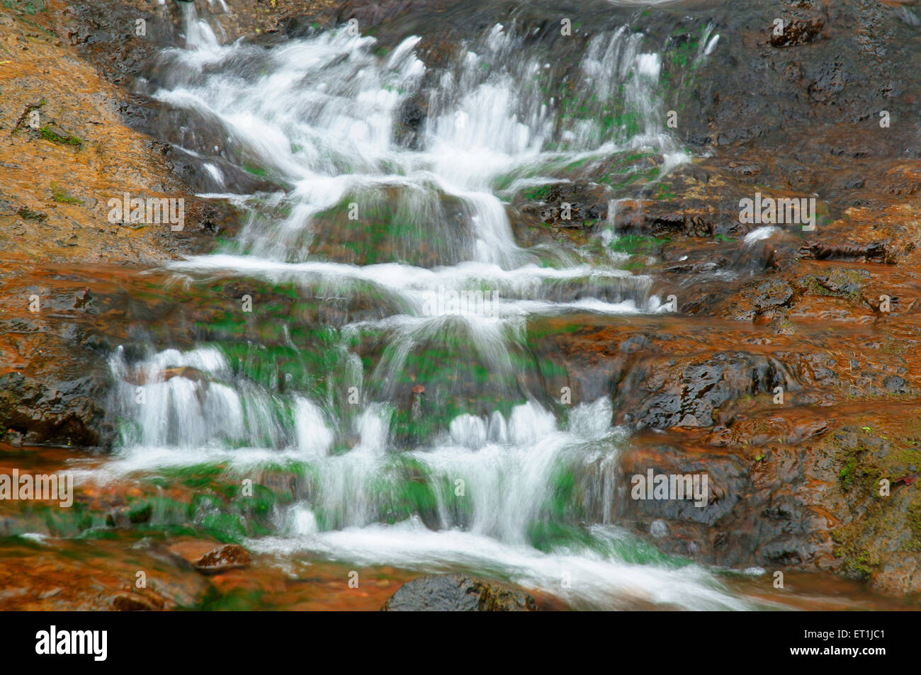 Wasserfall Monsun Grün, Mahabaleshwar, Maharashtra, Indien, Asien, Asiatisch, Indisch Stockfoto