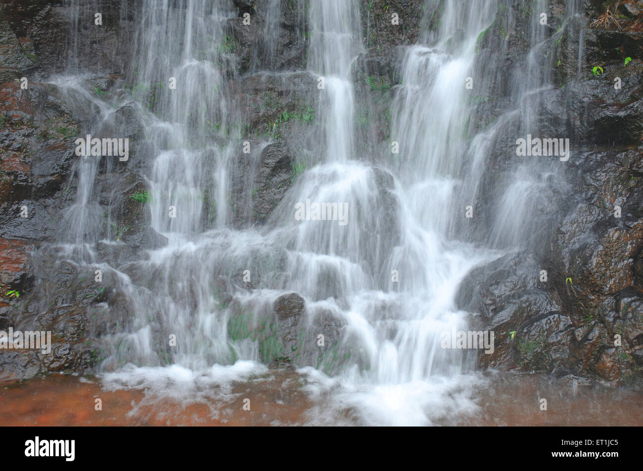 Wasserfall im Monsun, Mahabaleshwar, Maharashtra, Indien, Asien, Asiatisch, Indisch Stockfoto