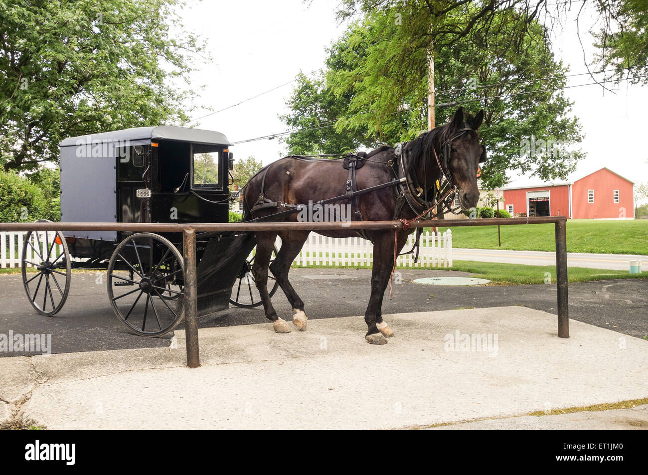 Amische Pferd und Buggy, Schlitten, Lancaster County, Pennsylvania, USA Stockfoto