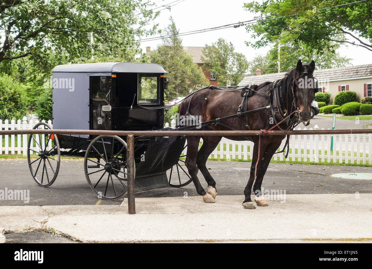 Amische Pferd und Buggy, Schlitten, Lancaster County, Pennsylvania, USA Stockfoto