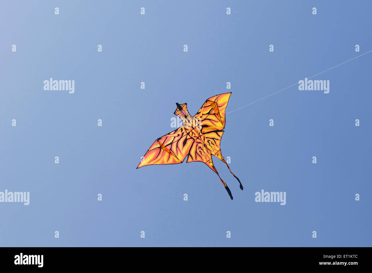 entworfen und bunten Phantasie Drachensteigen Pune Maharashtra Indien Asien Stockfoto