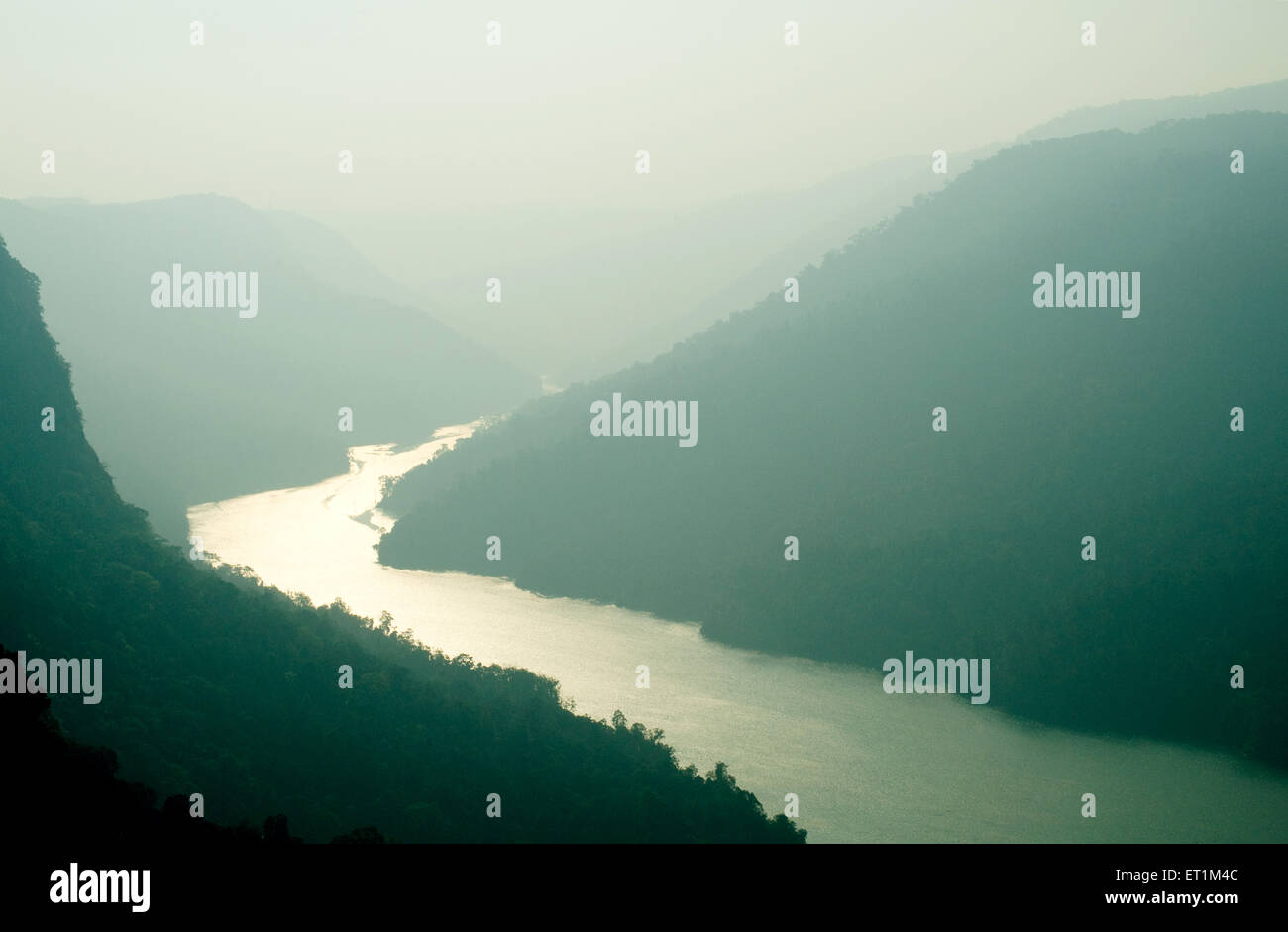 Sharavati Fluss; Sharavati Tal; Wildlife Sanctuary; Shimoga; Shivamoga; Shivamogga; Karnataka; Indien; Asien Stockfoto