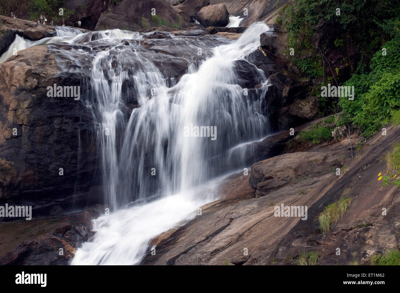 Die Attakadu-Wasserfälle in großer Geschwindigkeit durch die Felsen Munnar Kerala Indien Asien Stockfoto