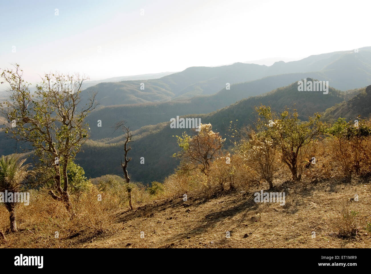 Ausblick des Satpura reicht von Chikhaldara Bezirk Amravati Maharashtra Indien Stockfoto