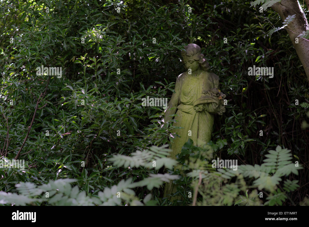 Grabsteine auf dem Abney Park Cemetery in London Stockfoto