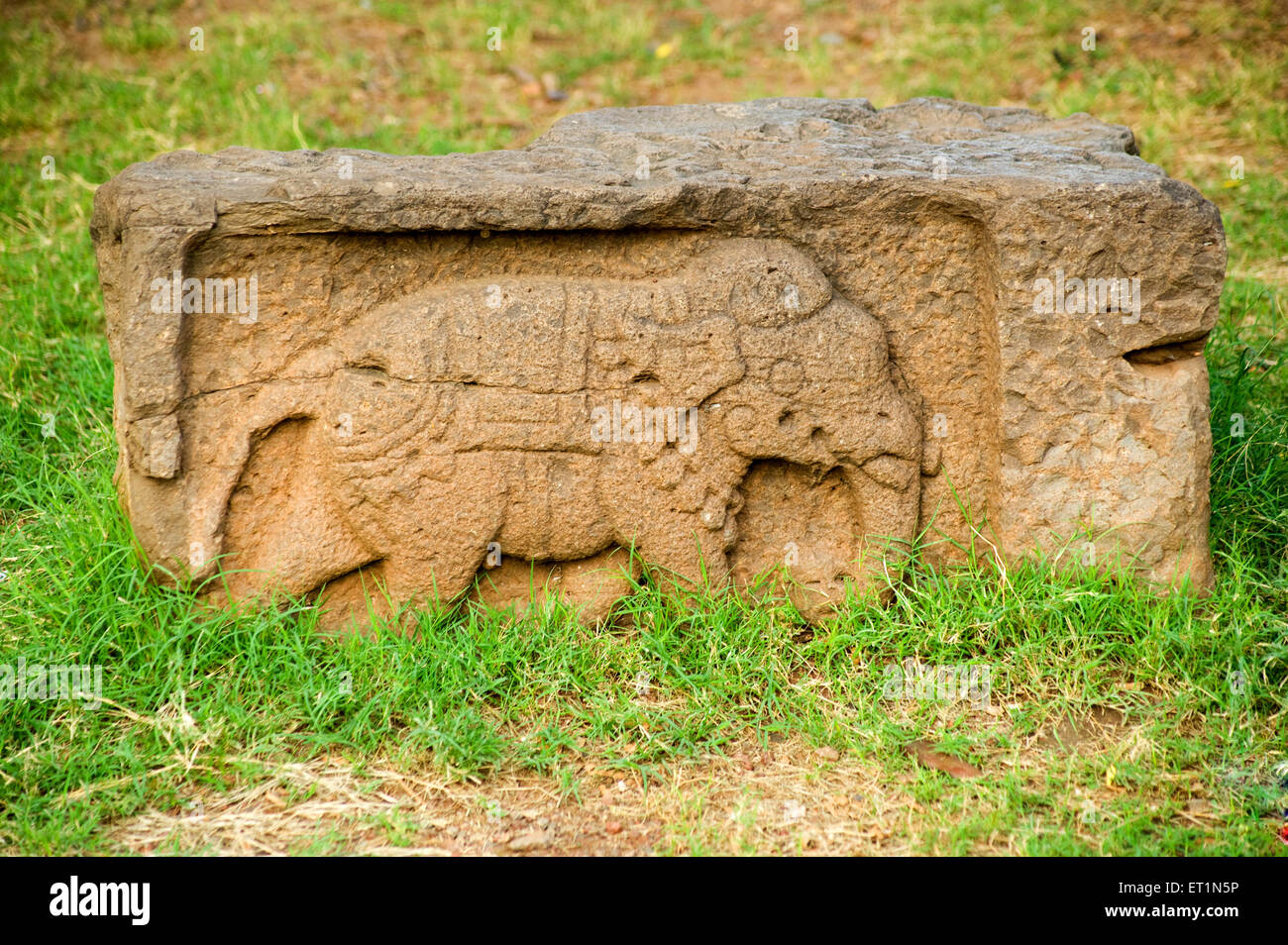 Elefant geschnitzt auf Steinverlegung im Garten; Bijapur; Karnataka; Indien Stockfoto