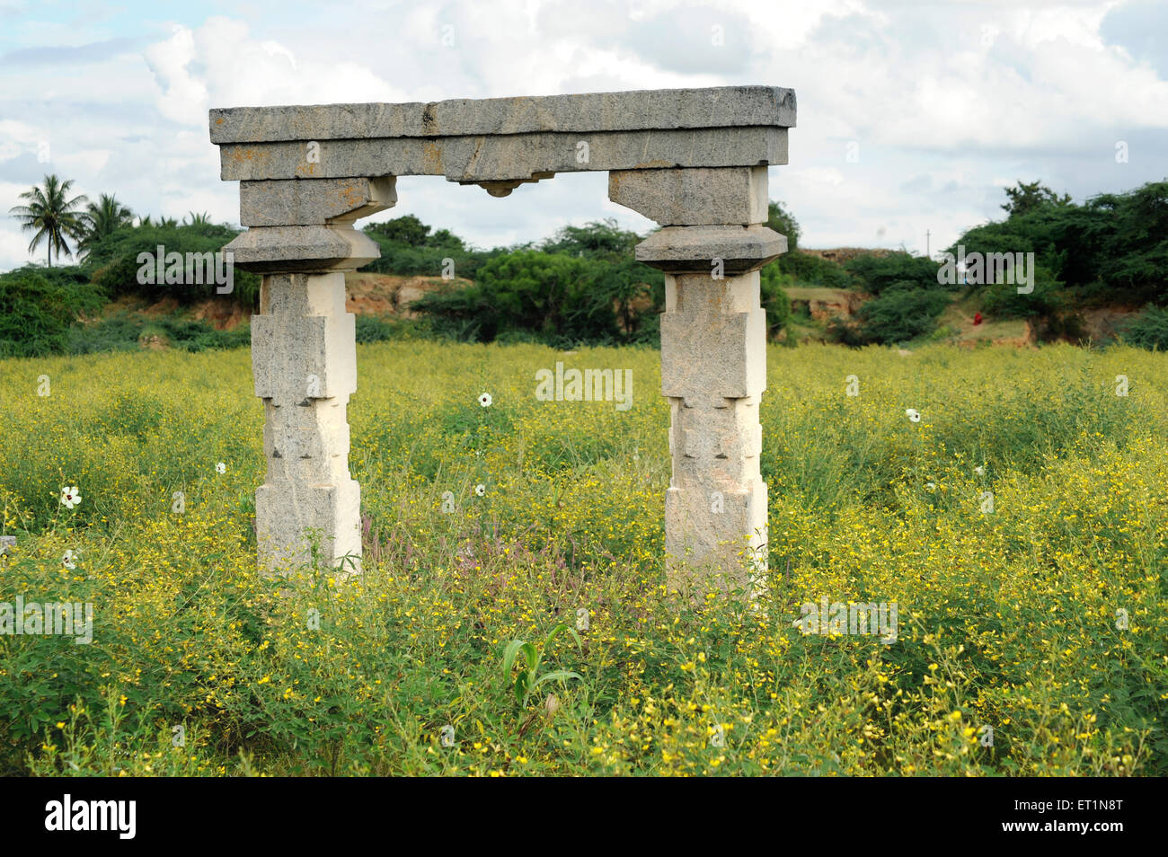 Struktur des Tempels im Feld; Koppal; Karnataka; Indien Stockfoto