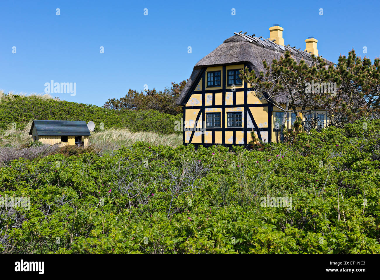 Traditionelle dänische Haus in der Düne mit blauem Himmel und grünen Rasen Stockfoto