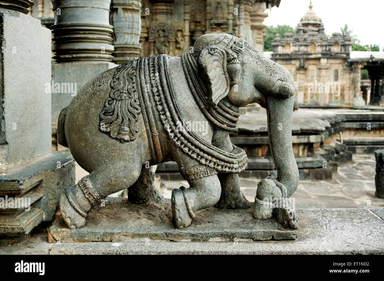Statue des Elefanten im Chennakesava Tempel; Belur; Hassan; Karnataka; Indien Stockfoto