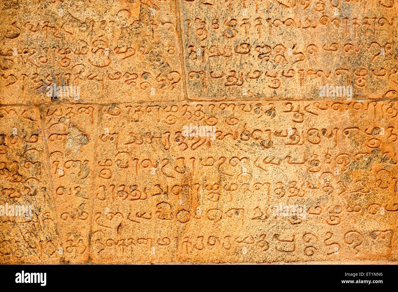 Tamil Wandinschrift, Brihadishvara Tempel, Peruvudaiyar Kovil, Thanjai Periya Kovil, Rajarajeswaram, Tanjore, Thanjavur, Tamil Nadu, Indien Stockfoto