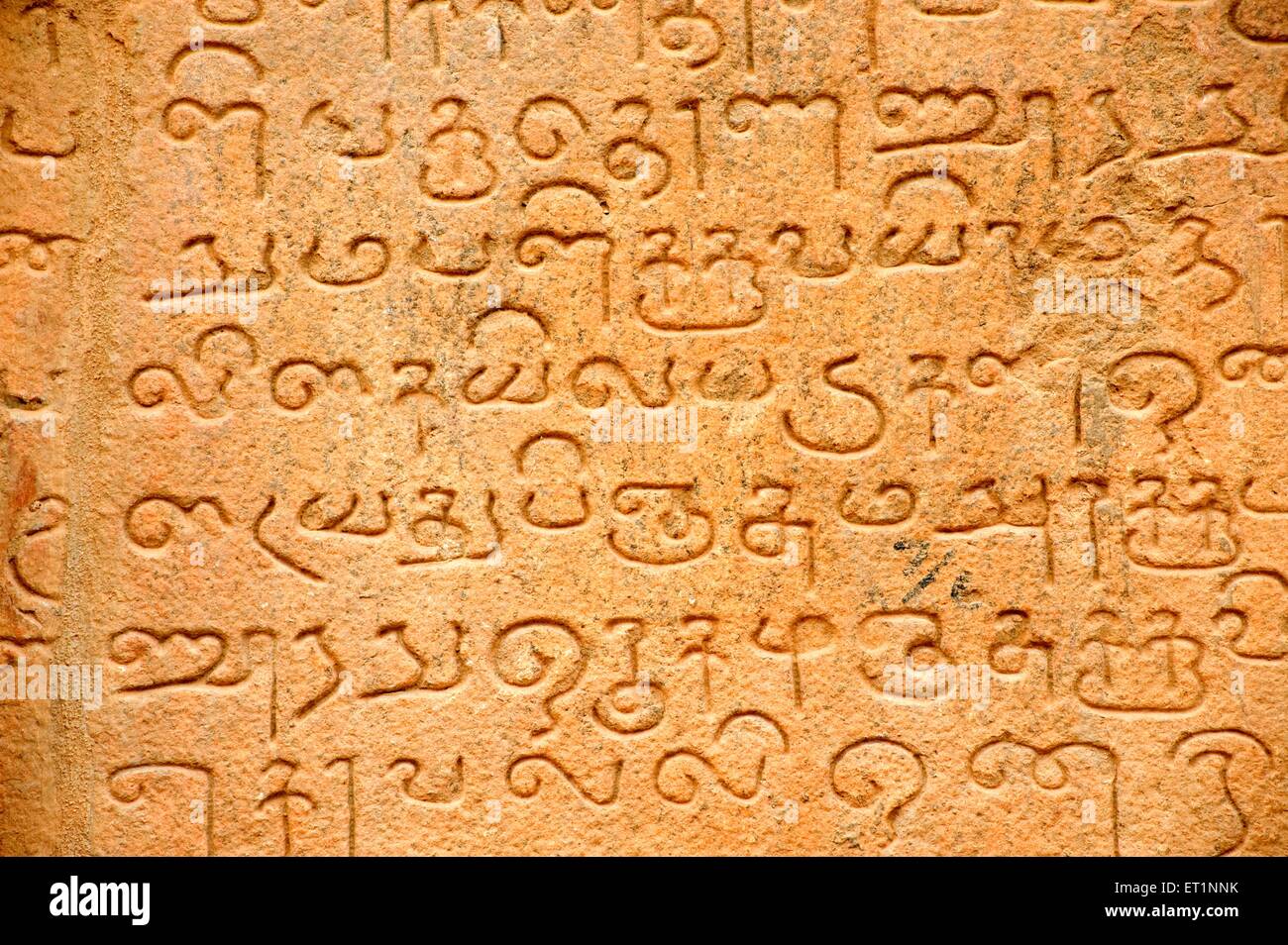 Tamil Wandinschrift, Brihadishvara Tempel, Peruvudaiyar Kovil, Thanjai Periya Kovil, Rajarajeswaram, Tanjore, Thanjavur, Tamil Nadu, Indien, Asien Stockfoto