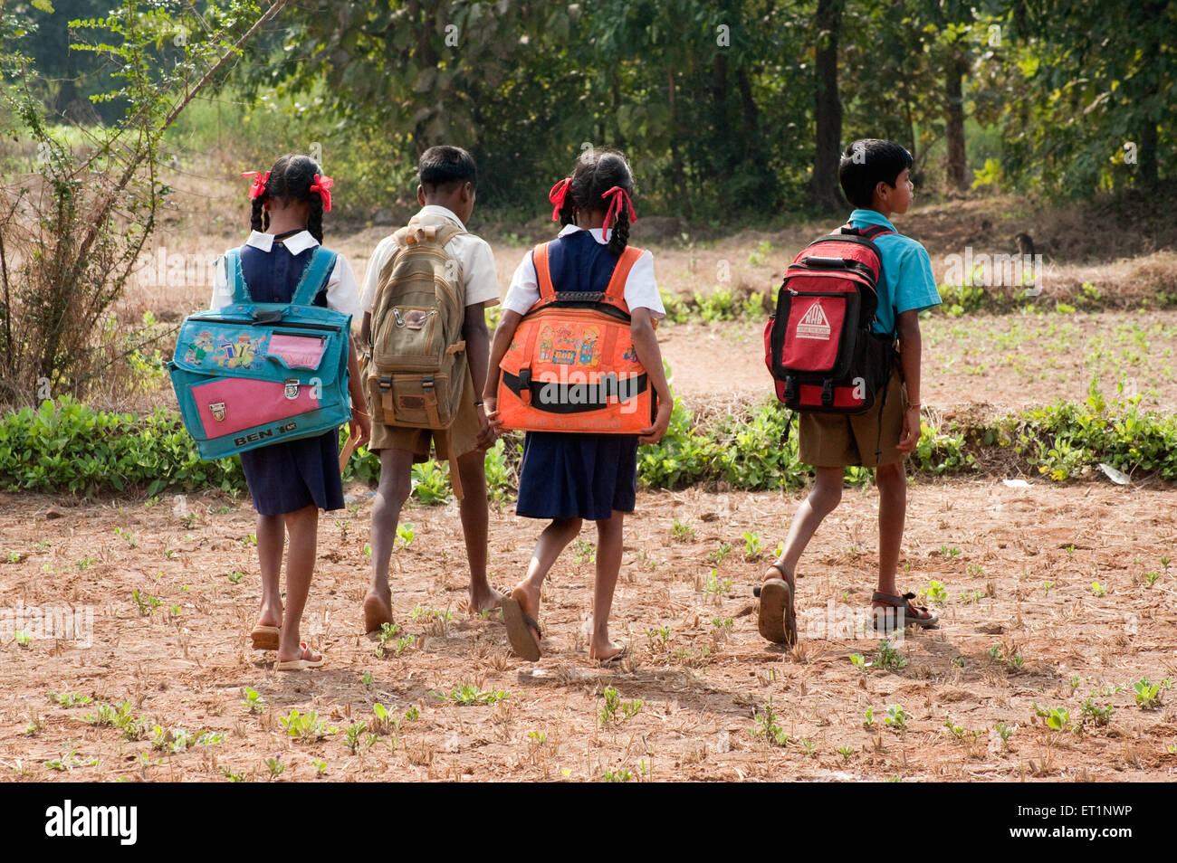Schüler mit schweren Taschen, die in einem Dorf zur Schule gehen, Maharashtra, Indien, Asien, Indien, Asiatisch Stockfoto