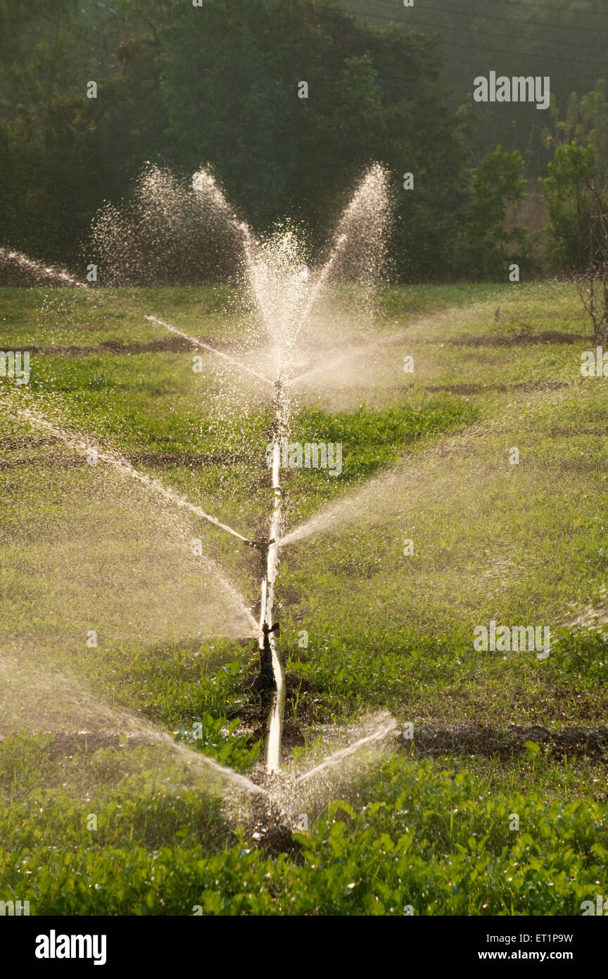 Sprinkler, Bewässerungssprinkler, Wassersprinkler, Stockfoto