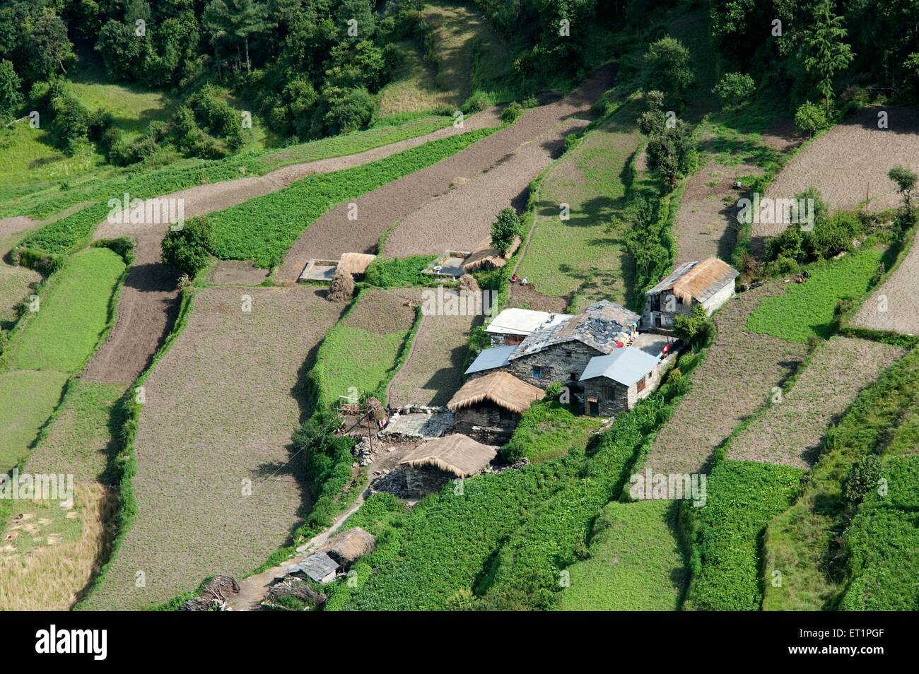 Kleines Dorf und Terrasse Farm in Uttarakhand Indien Asien Asian Indian Stockfoto