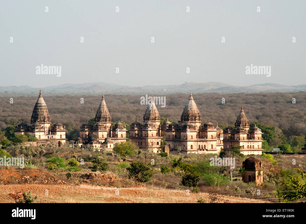 Kenotaphen Herrscher; Orchha; Tikamgarh; Madhya Pradesh; Indien Stockfoto