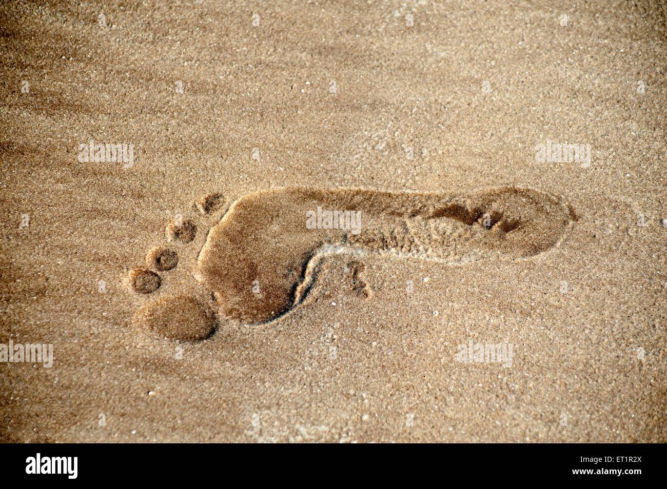 Fußabdruck auf Sand; Nagaon Strand; Alibag; Maharashtra; Indien; Asien Stockfoto
