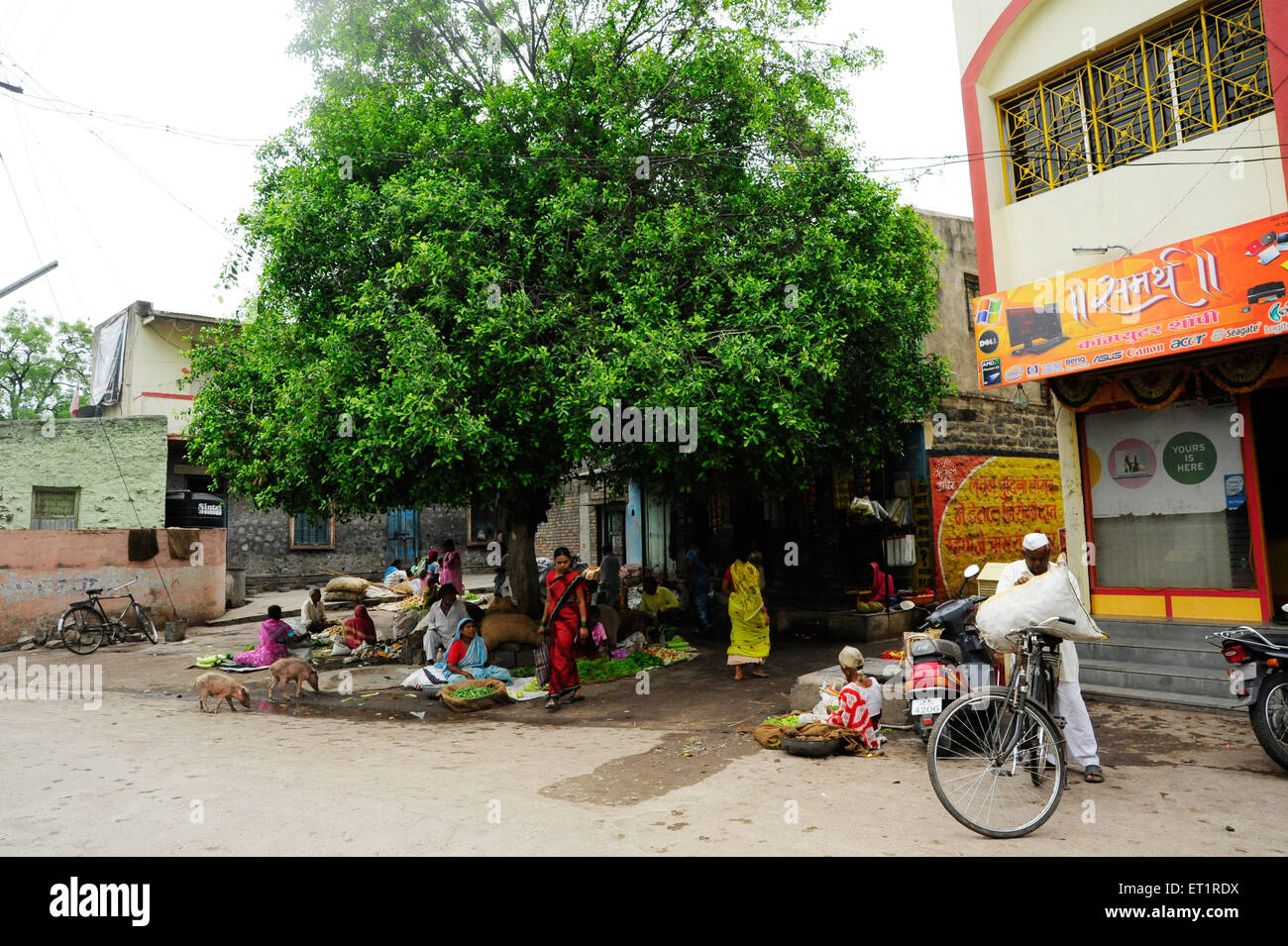 Ländlicher Gemüseverkäufer unter Baum; Akluj; Solapur; Maharashtra; Indien; Asien Stockfoto