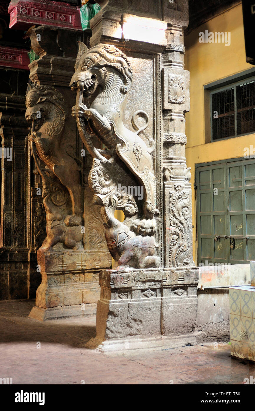 Fabelwesen Yalli auf den Säulen der Meenakshi-Tempel in Madurai in Tamilnadu Indien Asien Stockfoto