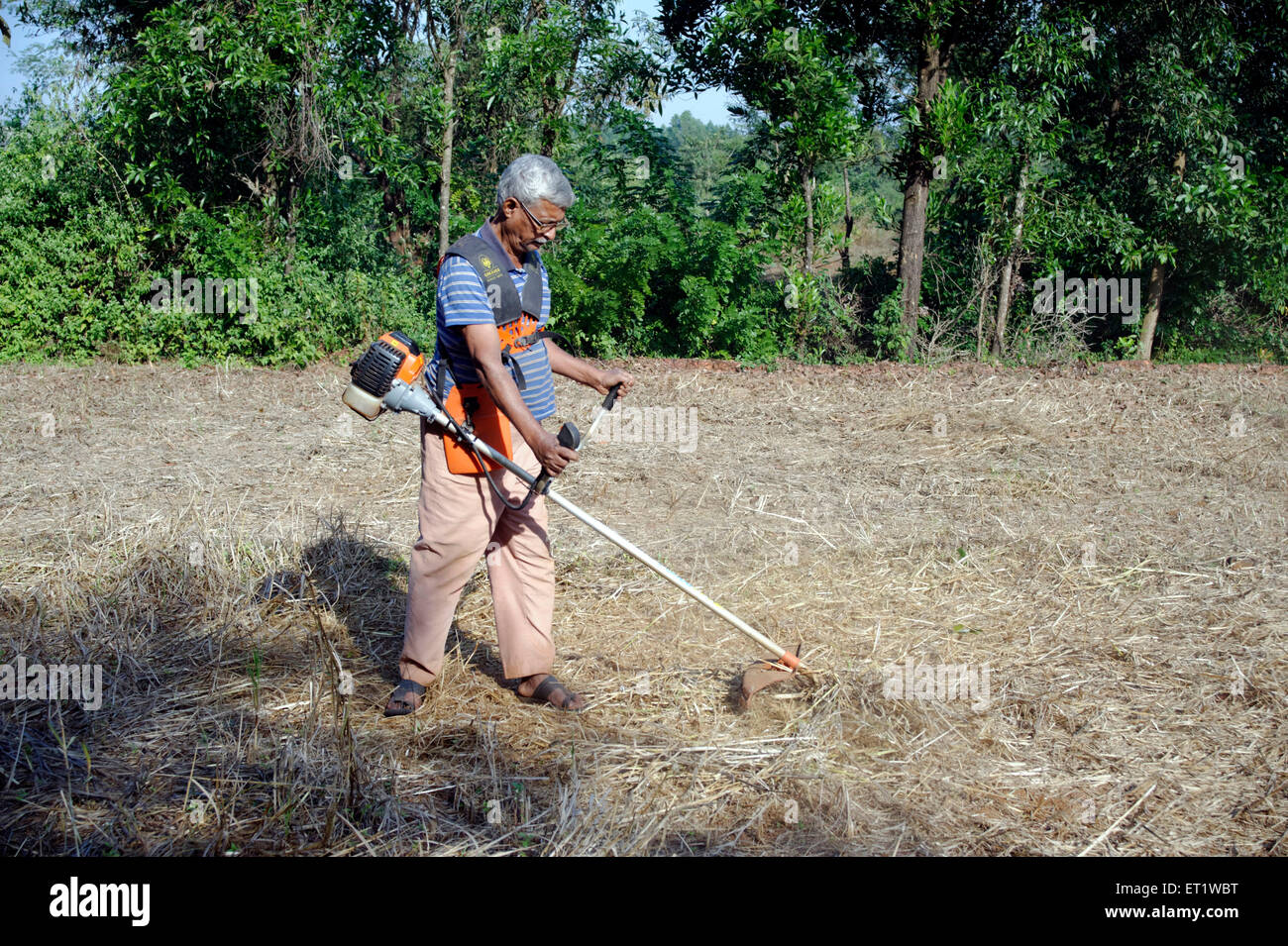 Bauer mit Grass schneiden Maschine Konkan Maharashtra Indien Herr #556 Stockfoto