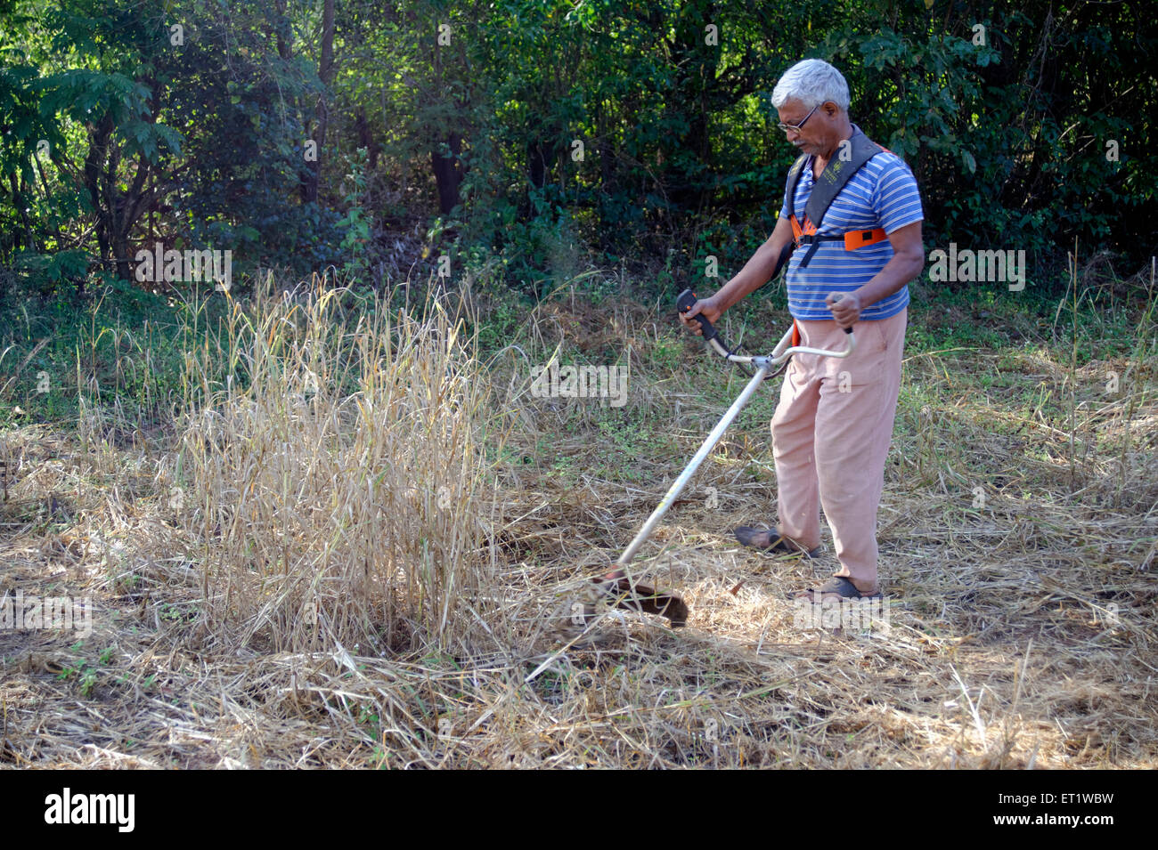 Bauer mit Grass schneiden Maschine Konkan Maharashtra Indien Herr #556 Stockfoto