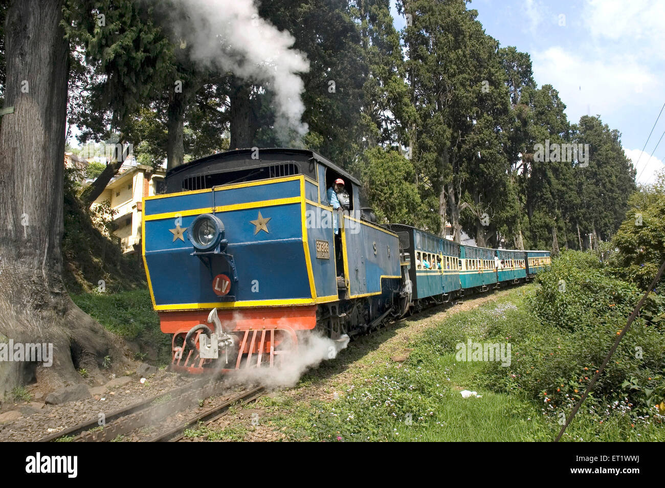 Spielzeugzug; Nilgiri Mountain Railway; Dampflokomotive; Coonoor; Nilgiri Mountains; Western Ghats; Tamil Nadu; Indien; Unesco-Weltkulturerbe Stockfoto