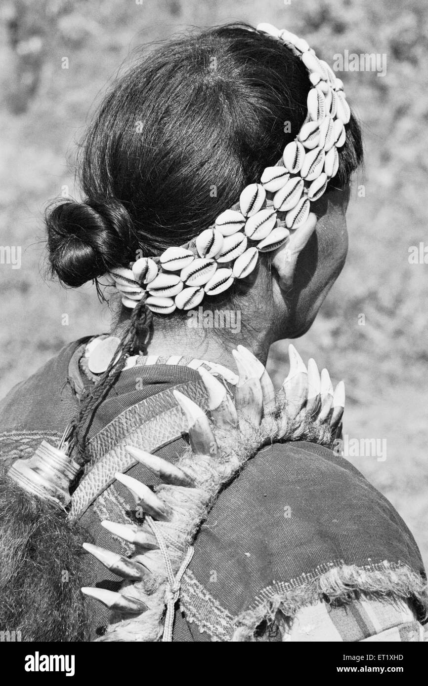 Muschelschalen und Tierzähne, die als Zierteile verwendet werden; Hill Miri Tribe; Subansiri; Kamle; Arunachal Pradesh; Indien; Asien ; alter Jahrgang 1900s Bild Stockfoto