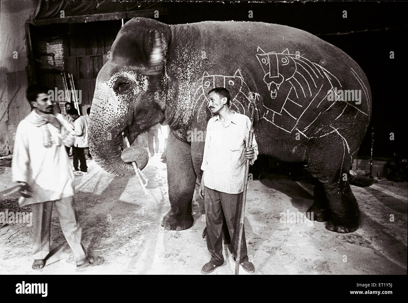 M F Hussain skizziert auf Elefanten während Gaja Gamini Film Indien Asien Stockfoto