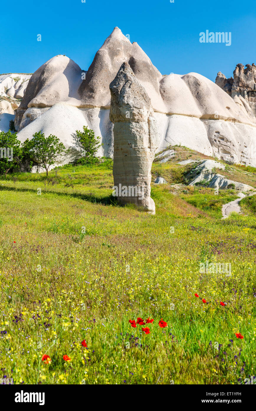 Malerische Fee Schornsteine Landschaft im Frühling, Göreme, Kappadokien, Türkei Stockfoto