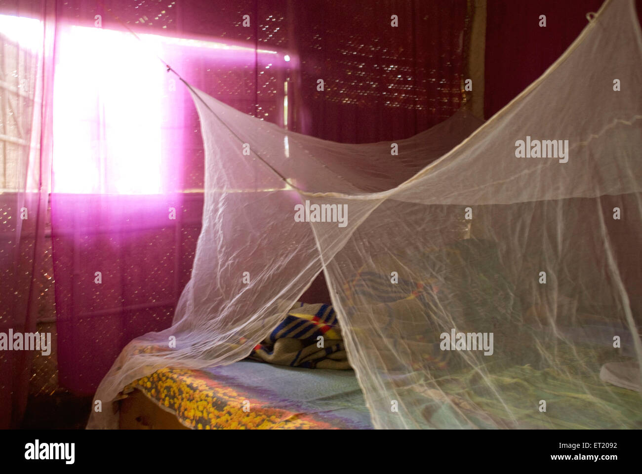 Moskitonetz auf dem Bett, Panjim, Panaji, Goa, Indien, Asien Stockfoto