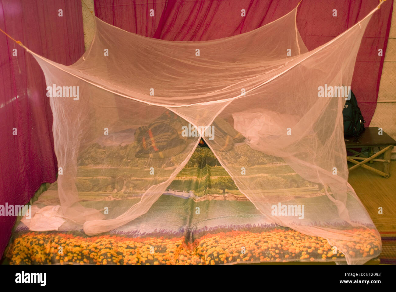 Moskitonetz, das Bett bedeckt, Panjim, Panaji, Goa, Indien, Asien Stockfoto