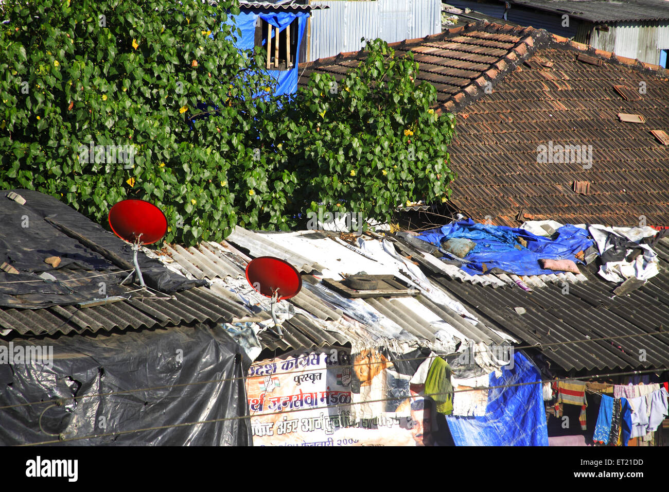 Parabolantenne im Slum; Behram Naupada; Anant Kanekar Marg; Bandra; Bombay Mumbai; Maharashtra; Indien 17. September 2009 Stockfoto