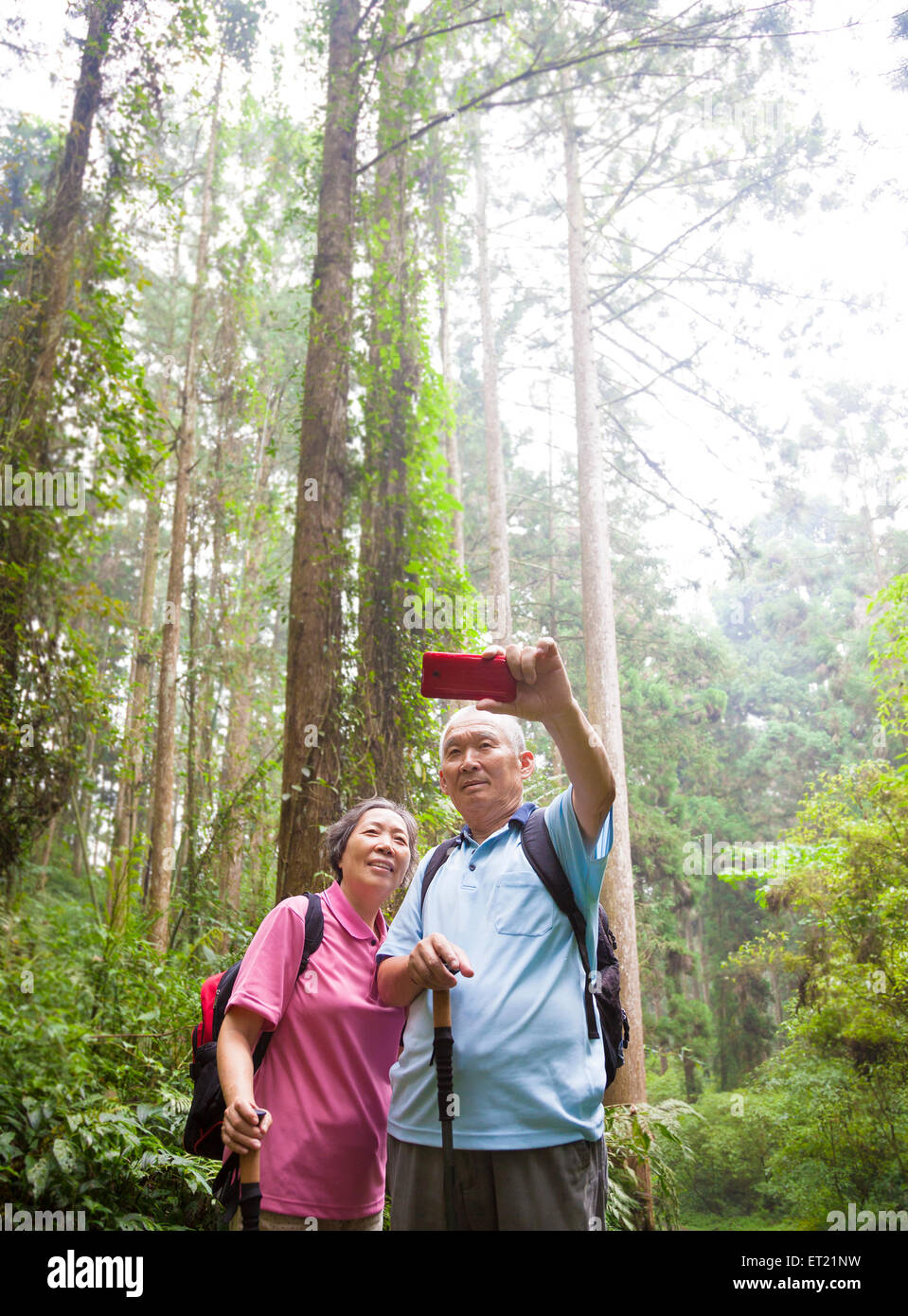 glücklich Senior Wandern im Waldpark Stockfoto