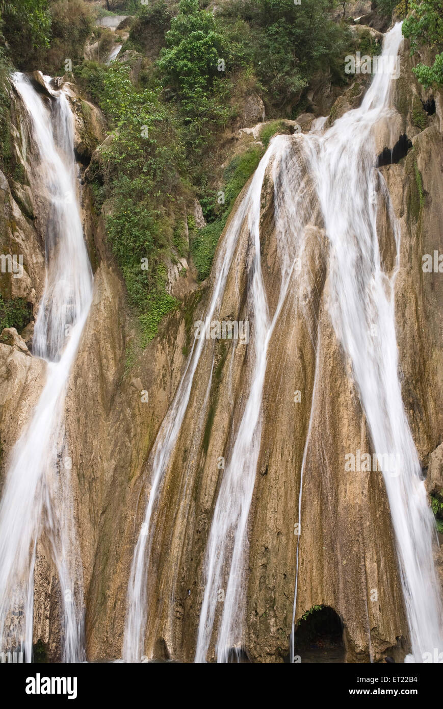 Kempty Falls; Mussoorie; Dehradun; Uttaranchal Uttarakhand; Indien; Asien Stockfoto
