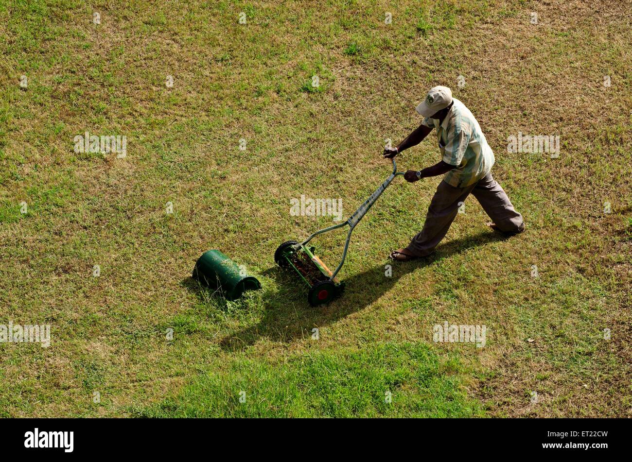 gardner Rasengras mit Rasenmäher bewegen Stockfoto