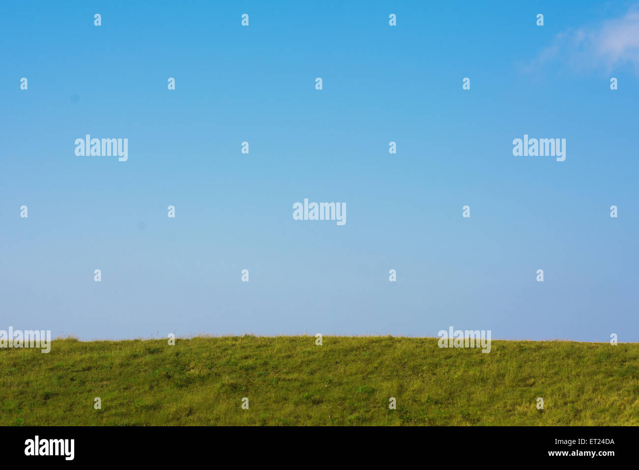 Grünes Feld und blauer Himmel minimaler Hintergrund Stockfoto