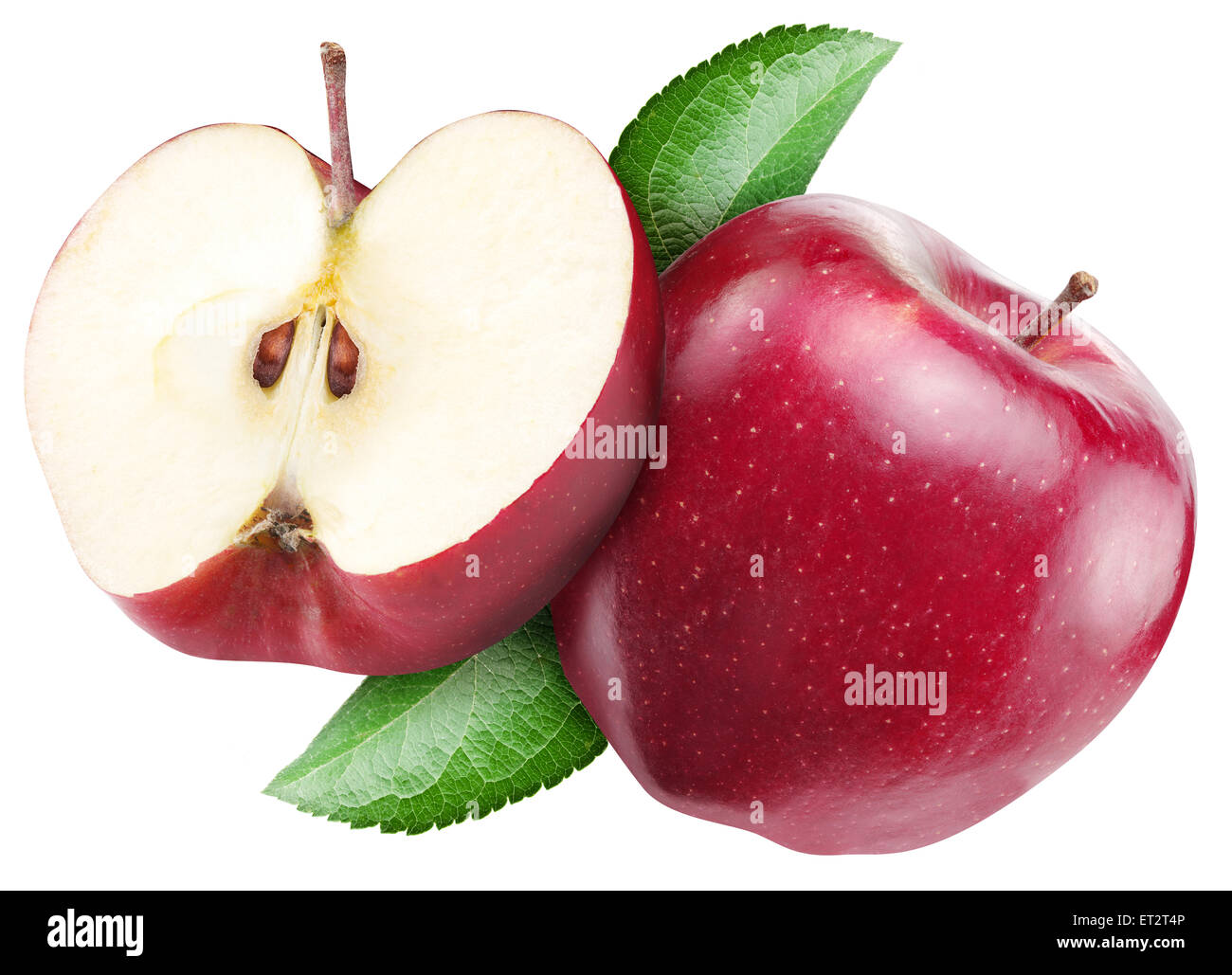 Roter Apfel auf einem weißen Hintergrund. Stockfoto
