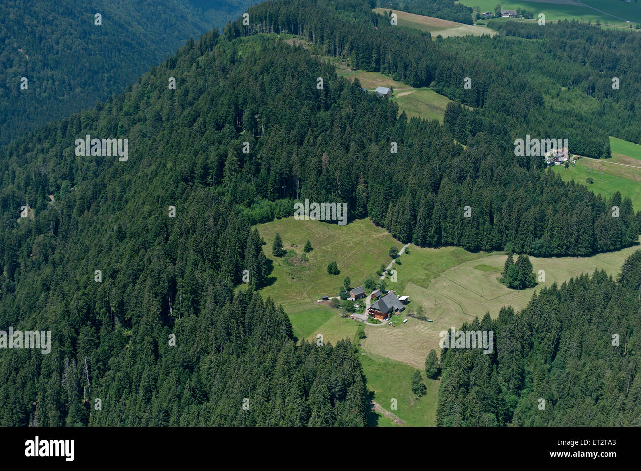 Titisee-Neustadt, Deutschland, Blick auf ein Haus aus der Luft Stockfoto