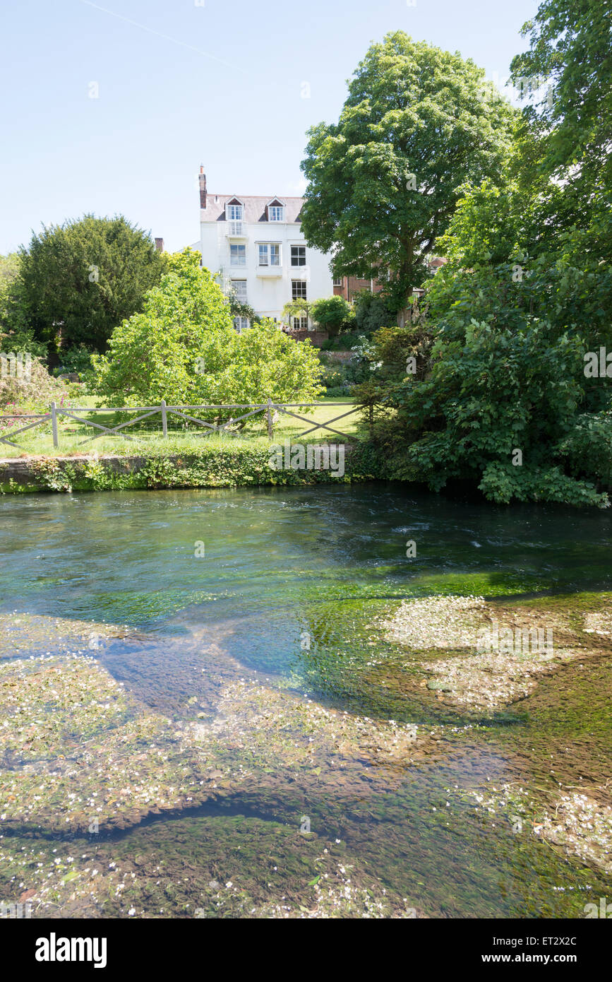 Häuser am Ufer des Flusses Itchen Winchester UK im Sommer Stockfoto