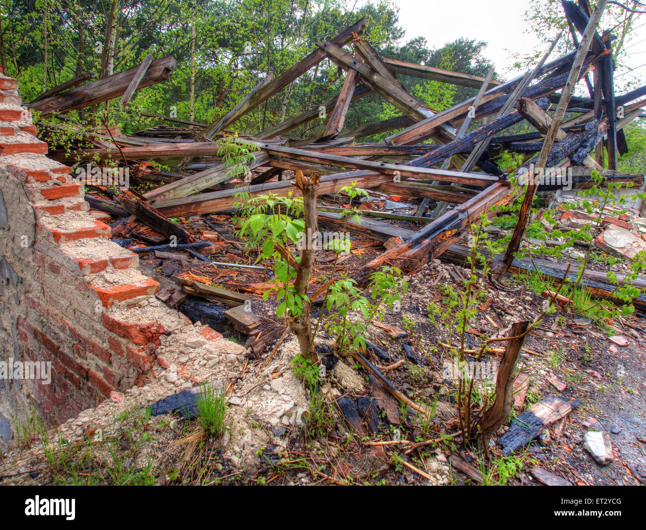 Zerstörten Gebäude der ehemaligen psychiatrischen Klinik Zofiówka Stockfoto