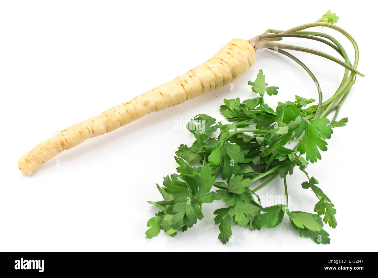 Frische Petersilie mit Wurzel und Blatt auf weiß Stockfoto