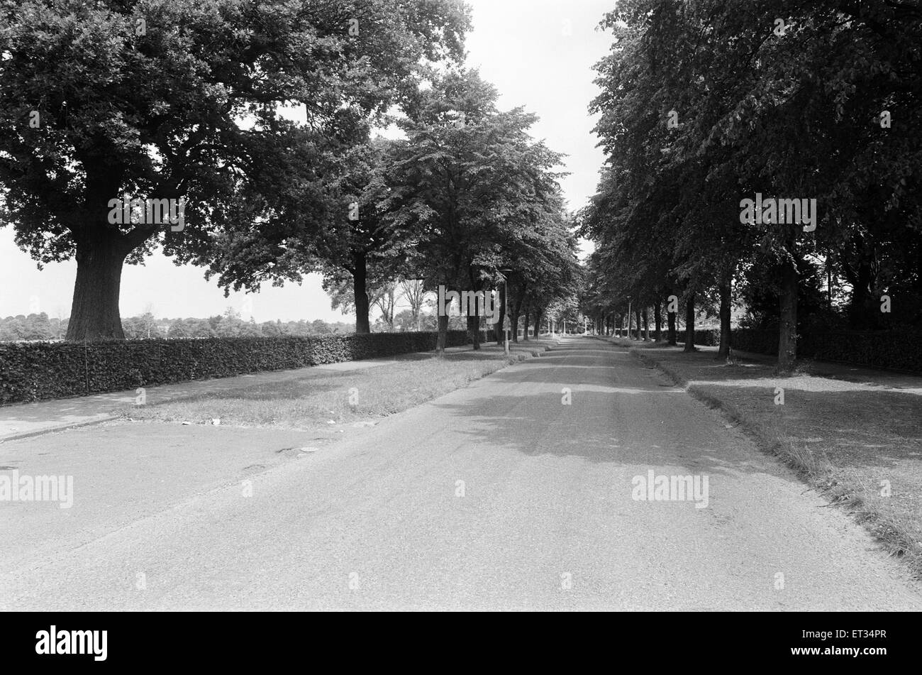 Rowheath Pavillon Zentrum. Heide-Straße, Bournville, Birmingham B30 1HH. 14. Juli 1981. Stockfoto