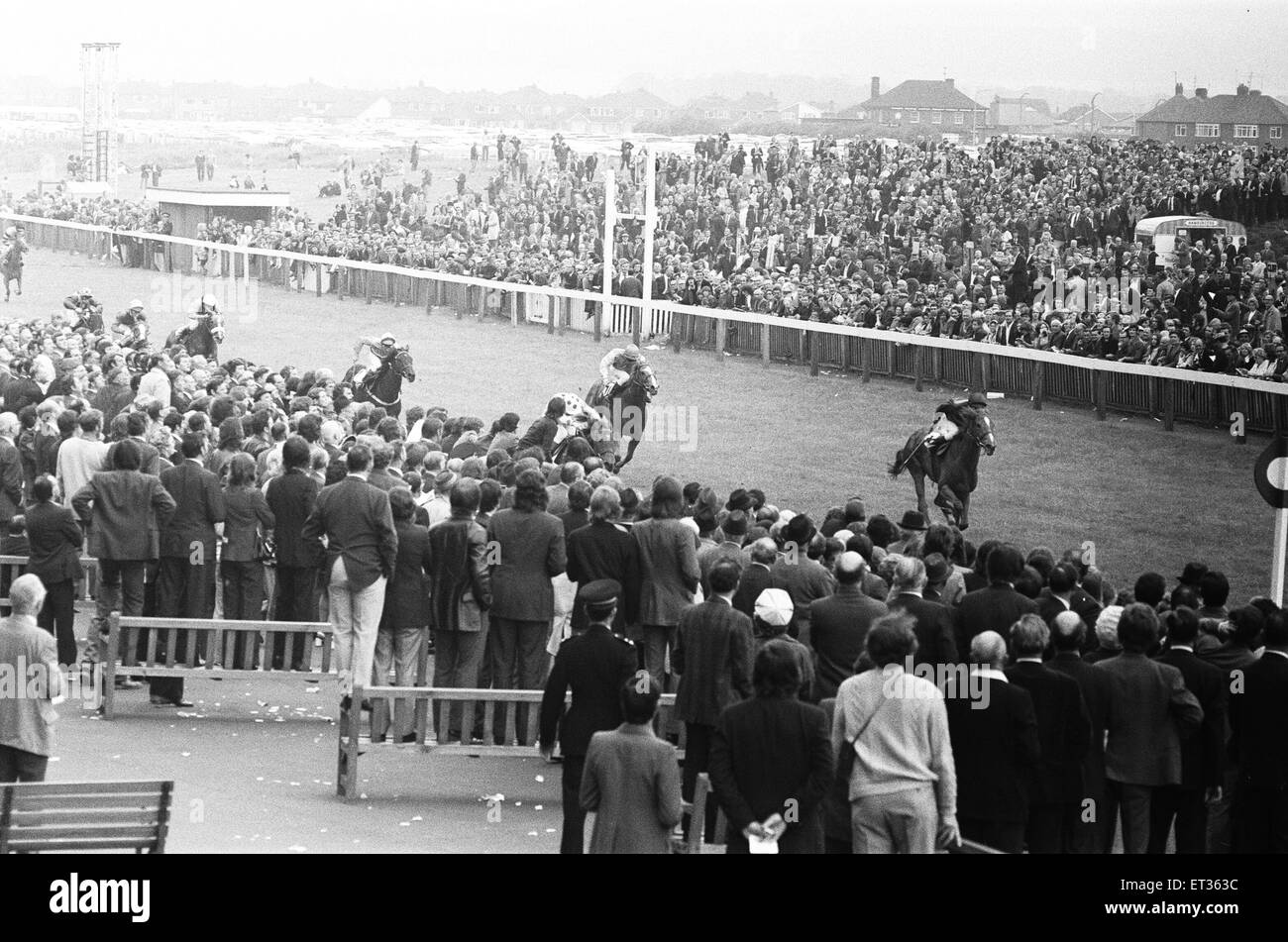 Der Rest des Feldes in der Andy Capp Handicap kreuzt die Linie nach Cliff Parkes und 16-1 schossen feurige Münze kreuzt die Linie. 23. Juni 1973 Stockfoto