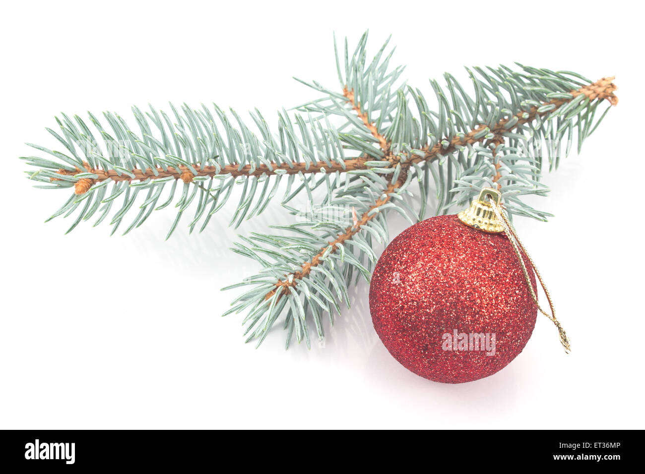 Weihnachtskugel rot und Tannennadeln isoliert auf weiss Stockfoto