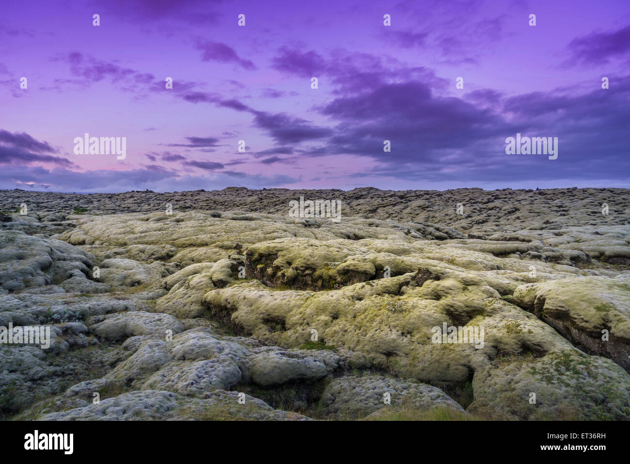 Lava und Moos Landschaft, South Coast, Island Stockfoto